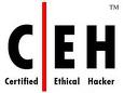 Ethical Hacking